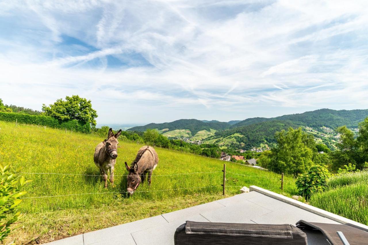 Merzel'S Schone Aussicht Bühlertal Extérieur photo