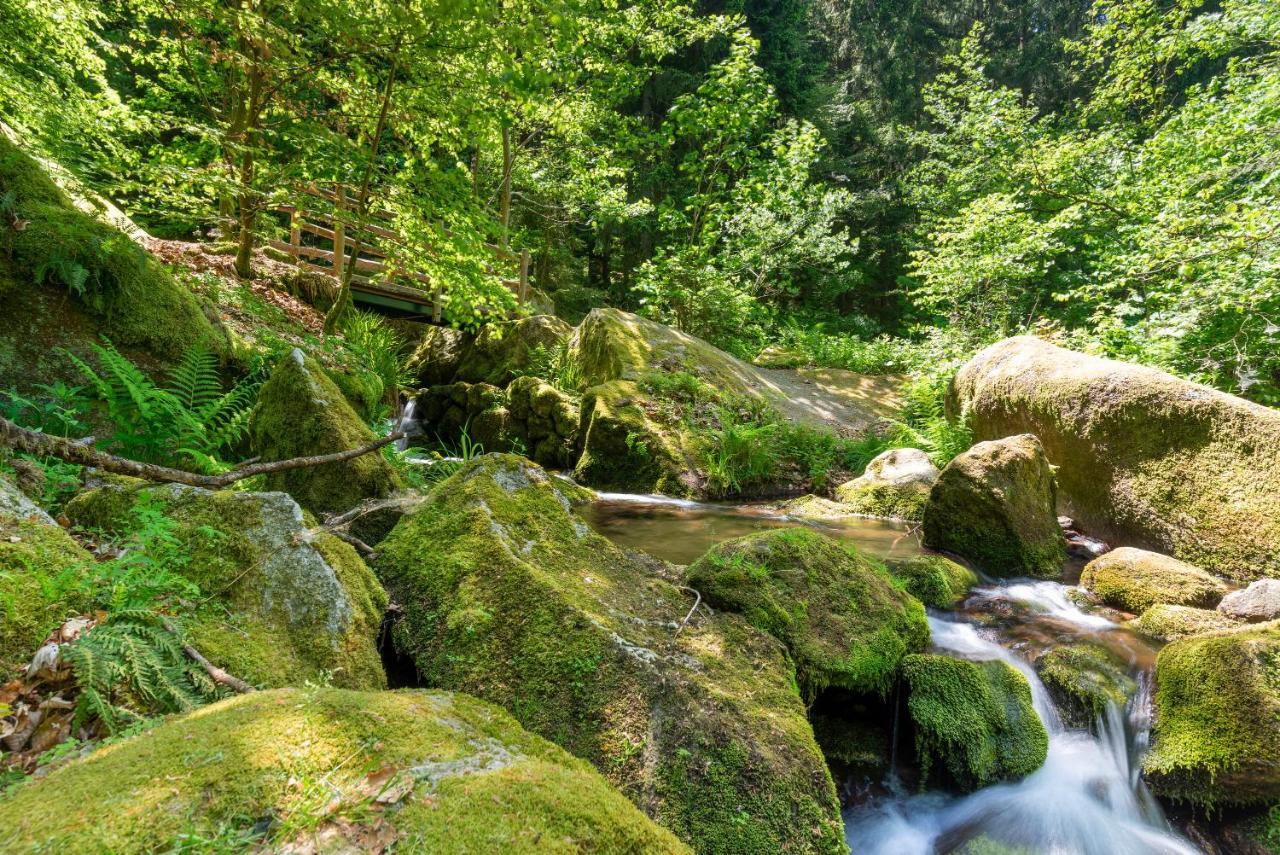 Merzel'S Schone Aussicht Bühlertal Extérieur photo